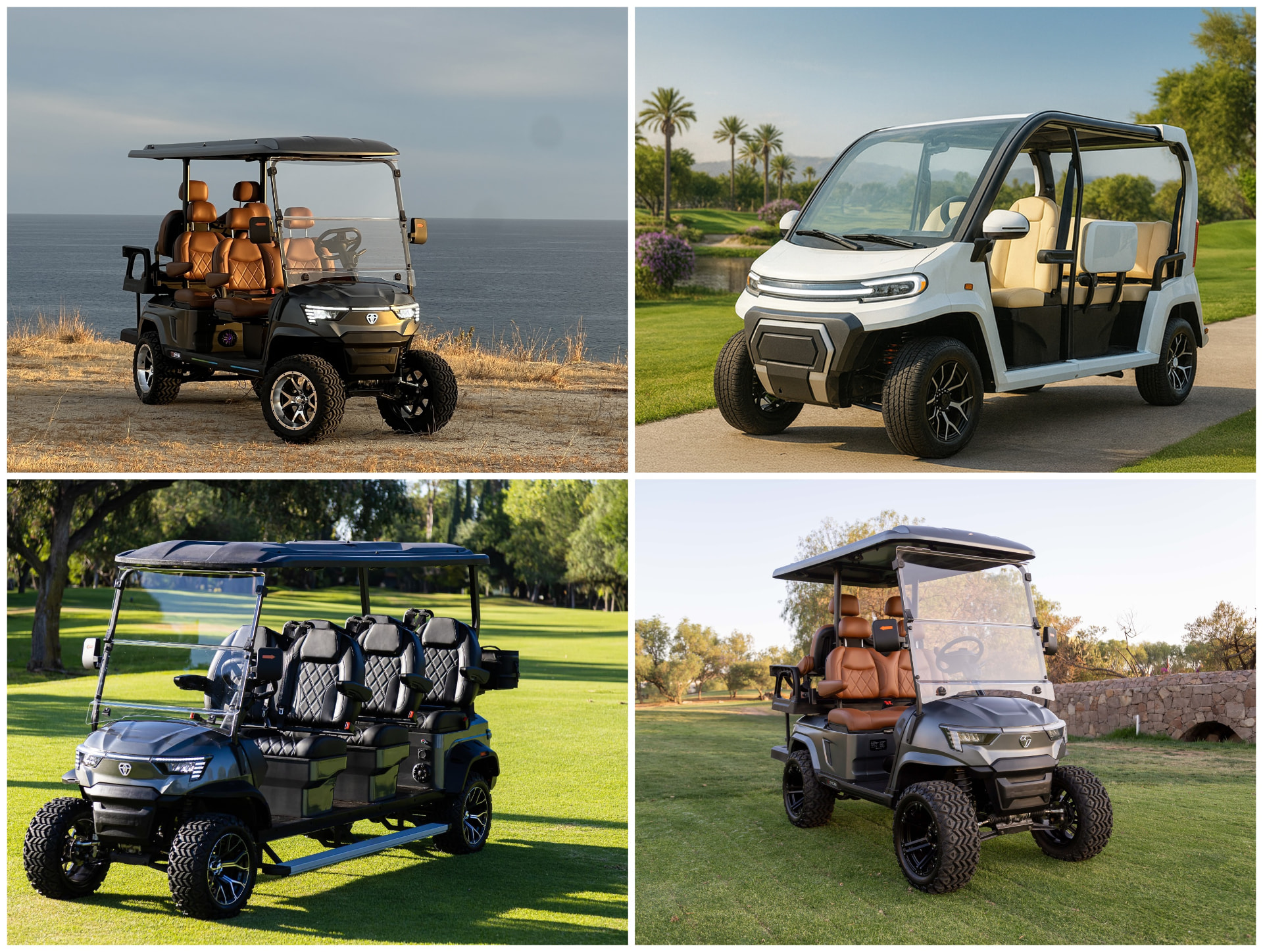 Collage of ZYCAR electric golf cart models for sale and rent in Los Cabos