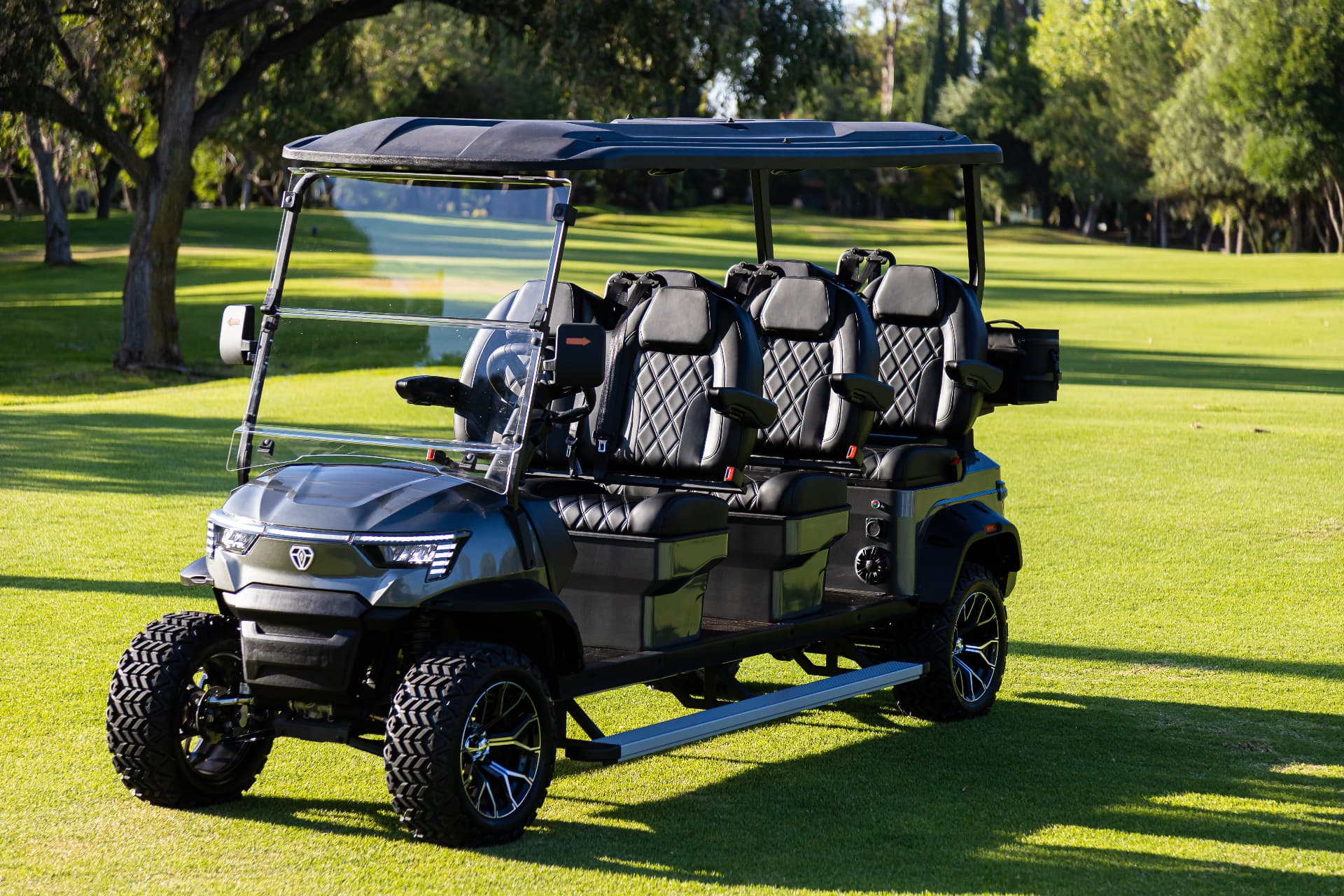 ZYCAR E6 Front electric golf cart