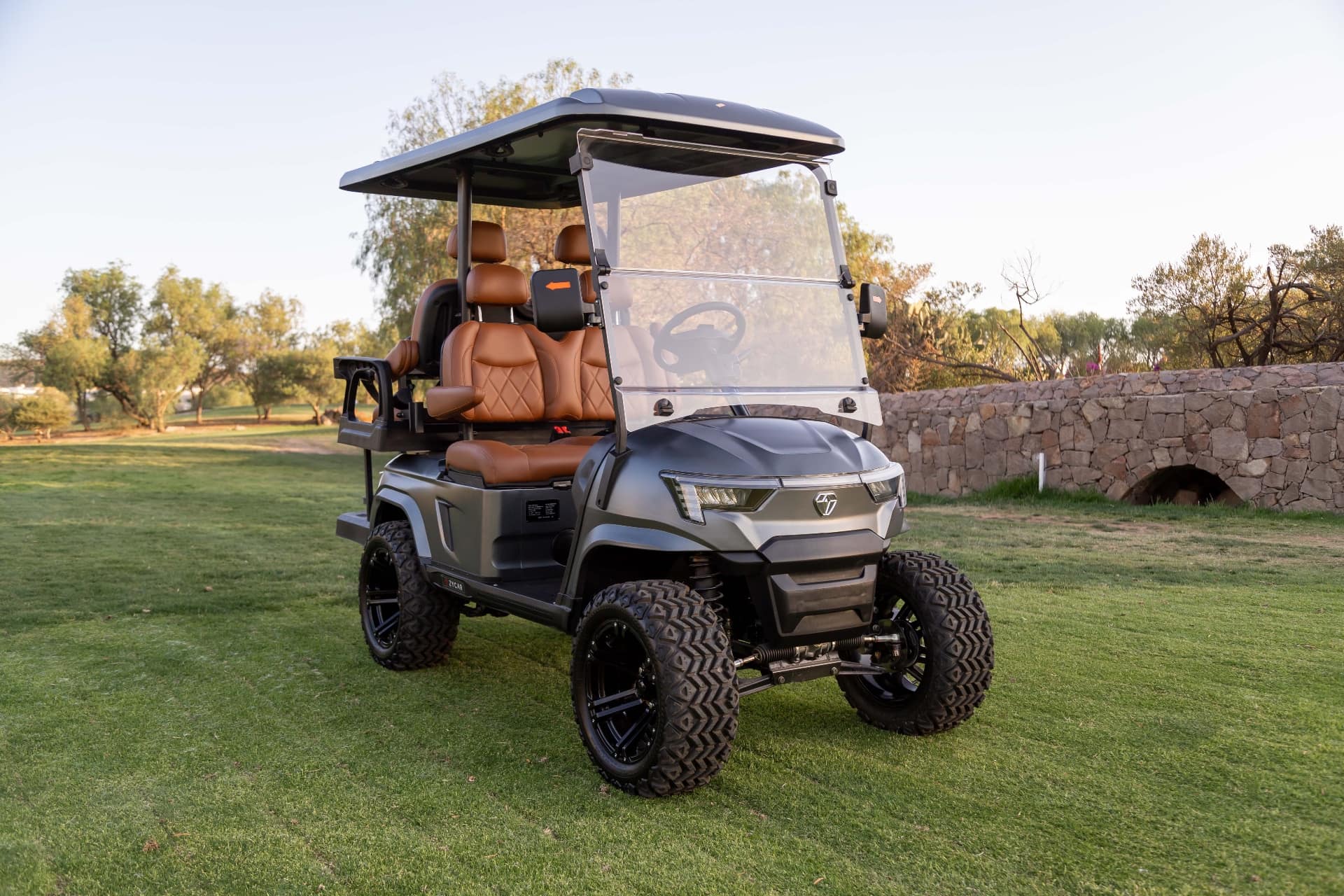 4-seater golf cart view 4