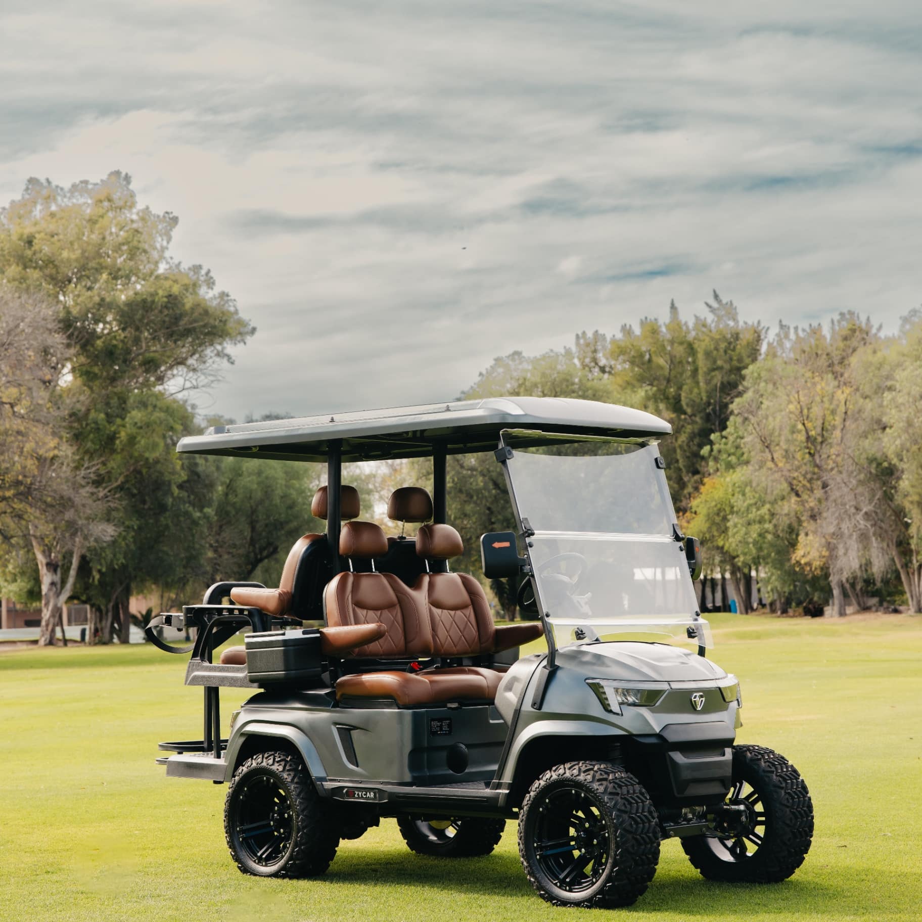 ZYCAR E4 electric golf cart
