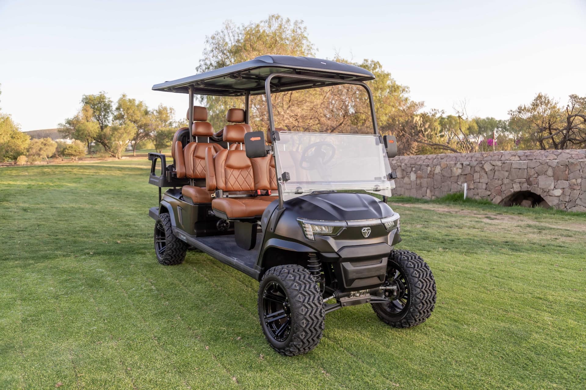6-seater golf cart view 1