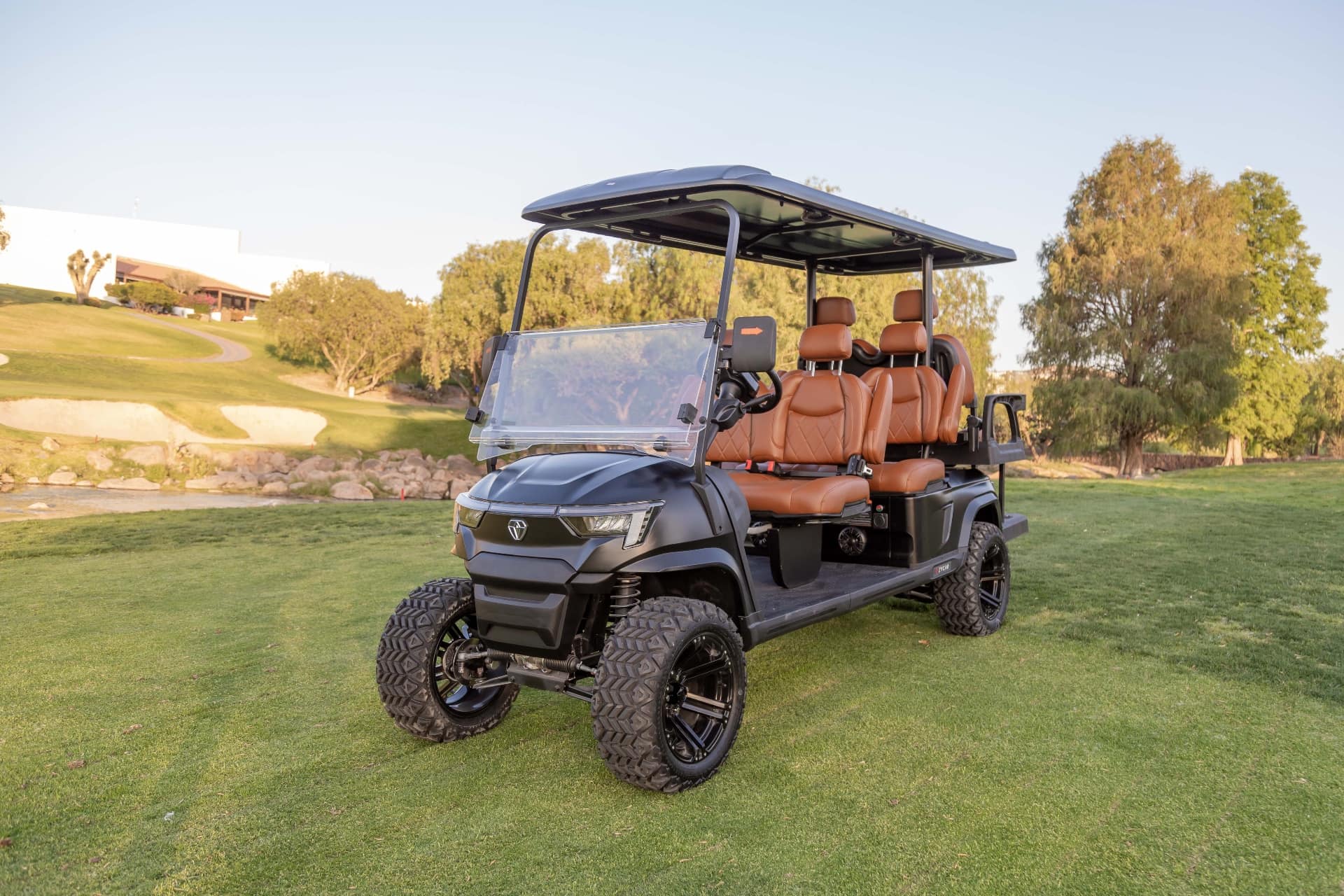 ZYCAR E6 electric golf cart