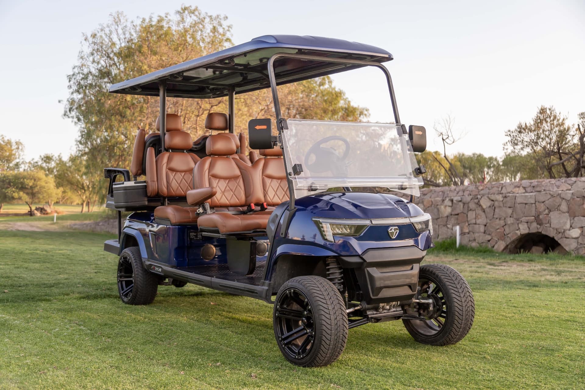 Navy blue ZYCAR E6 electric golf cart in Los Cabos