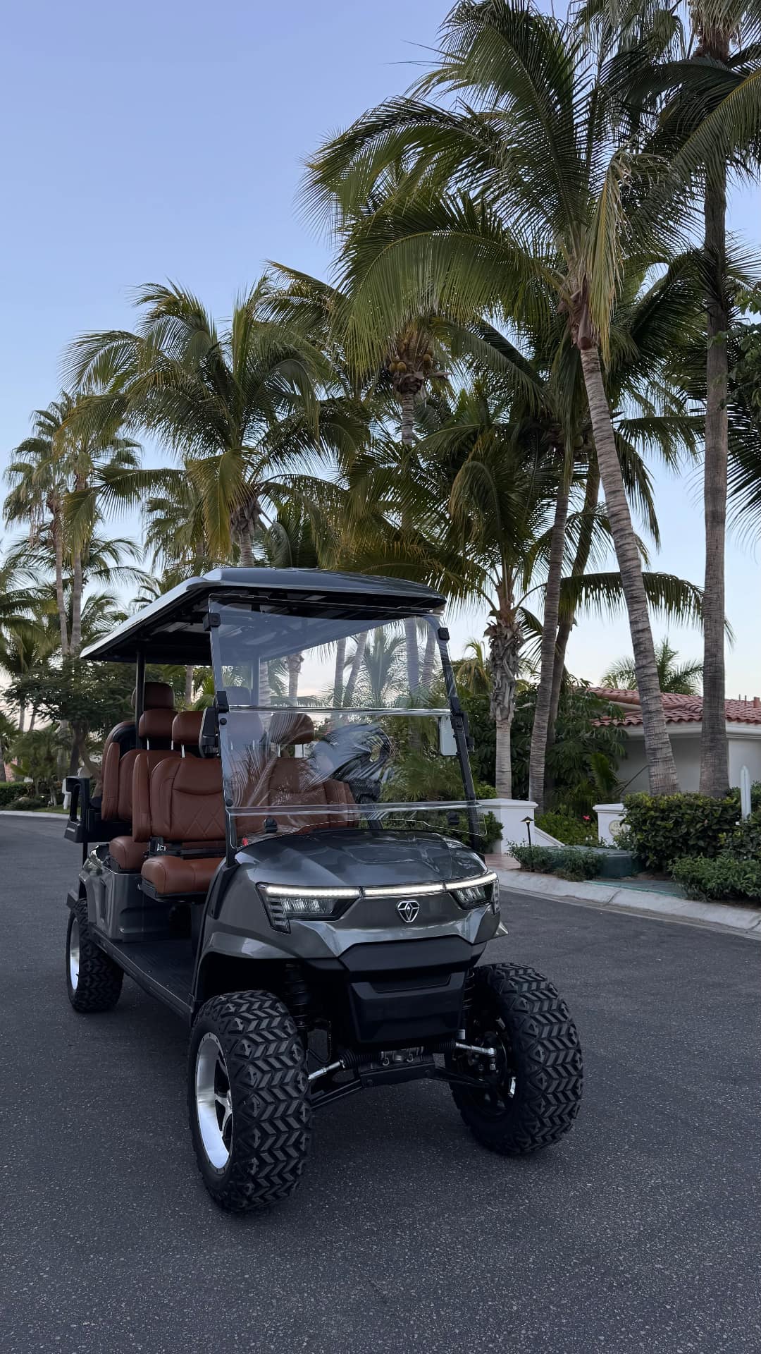6-seater golf cart view 4