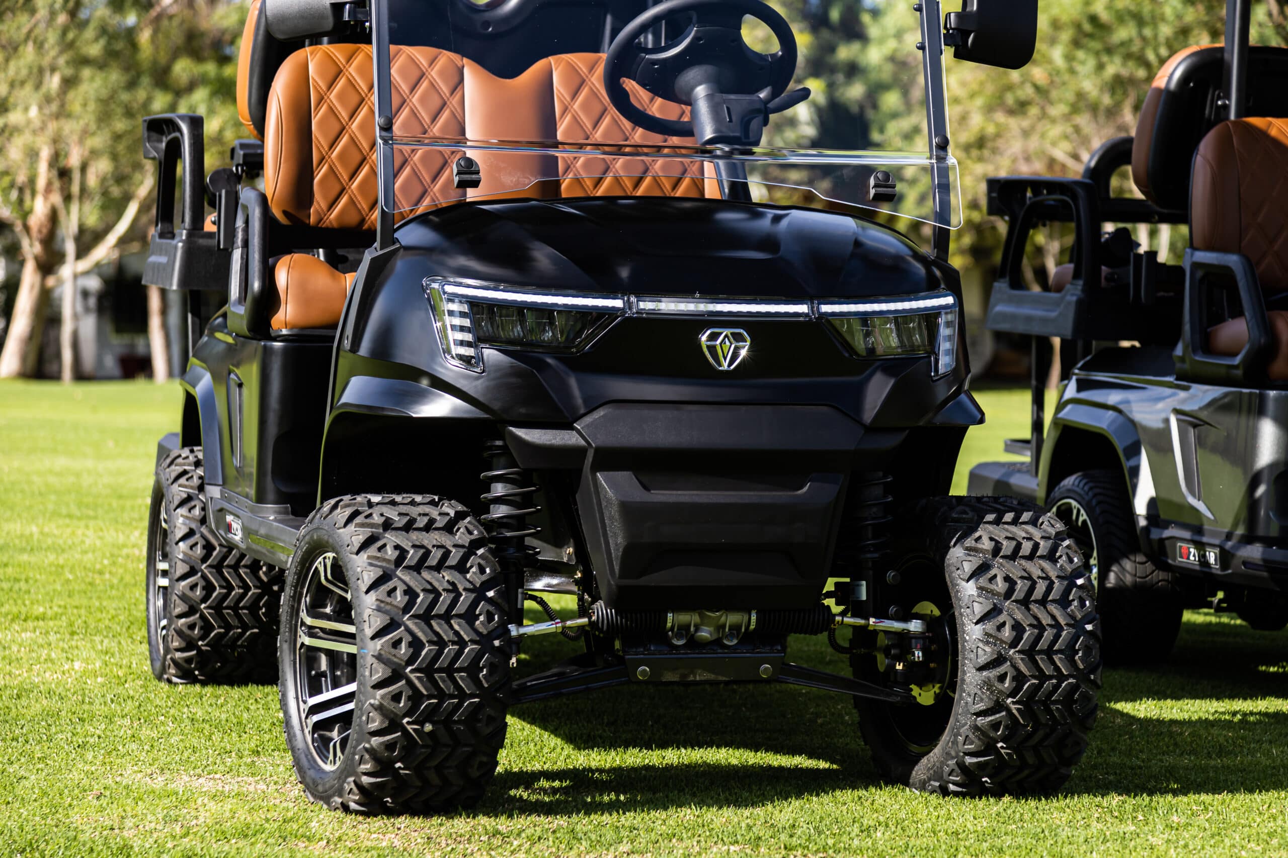 ZYCAR electric golf cart at Costa Palmas on the East Cape of Baja California Sur