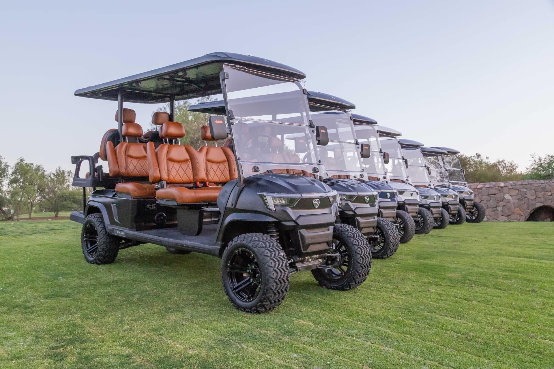 Fleet of ZYCAR electric golf carts ready for rental in Los Cabos