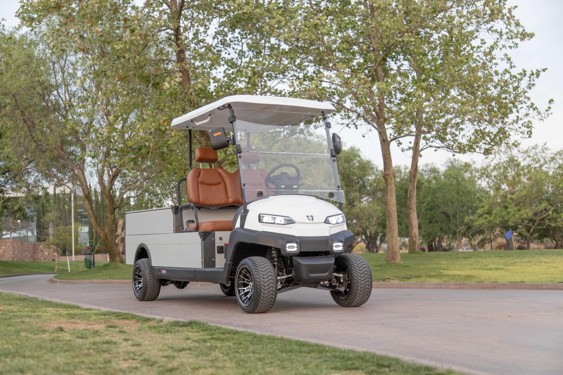 ZYCAR ZH05 Pick Up electric golf cart